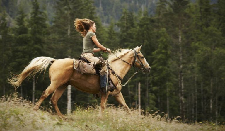 how-dangerous-is-horseback-riding-part-wild-horses-mane-on-both-sides